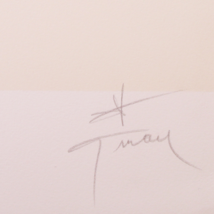 René Gruau, femme au chapeau noir, lithographie, signée et numérotée - Detail D2