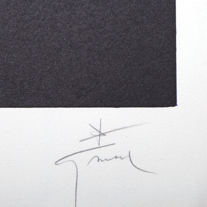 René Gruau, publicité pour Dioressence "Femme dans un hamac" de 1981, collection parfums Christian Dior, lithographie, encadrée, signée et numérotée - Detail D4