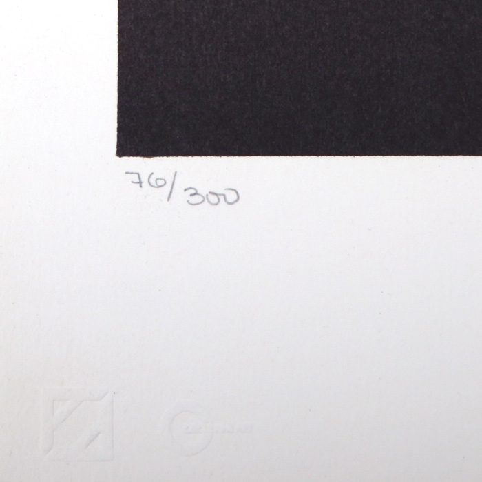 René Gruau, publicité pour Eau sauvage de Dior de 1975, collection parfums Christian Dior, lithographie, signée et numérotée - Detail D3