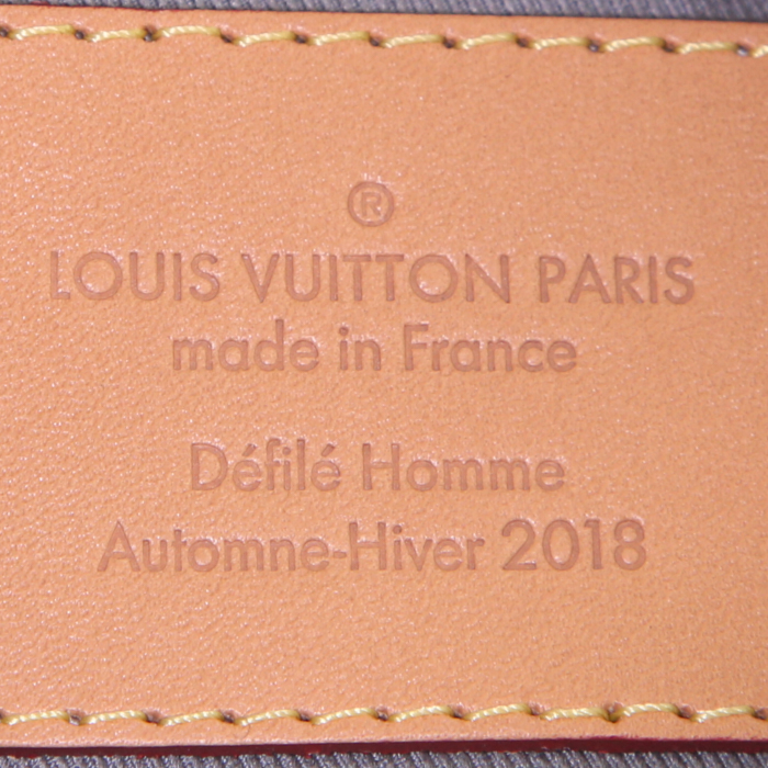 Sac bandoulière Louis Vuitton Camera en toile monogram Titanium grise et cuir naturel - Detail D3