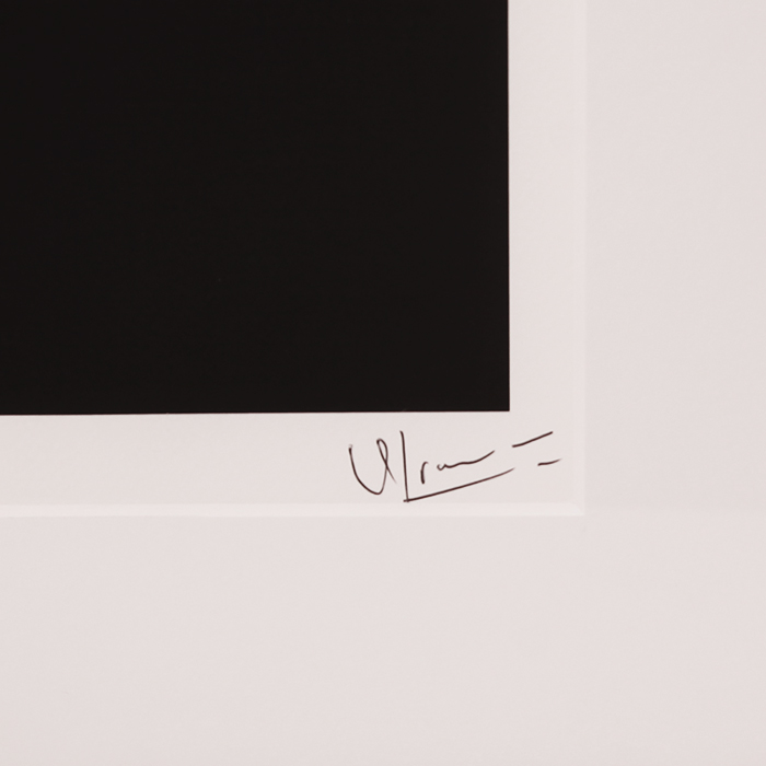 David Lefranc, "Mick Jagger on stage at the Giants Stadium in New York", framed photograph, signed and numbered - Detail D2