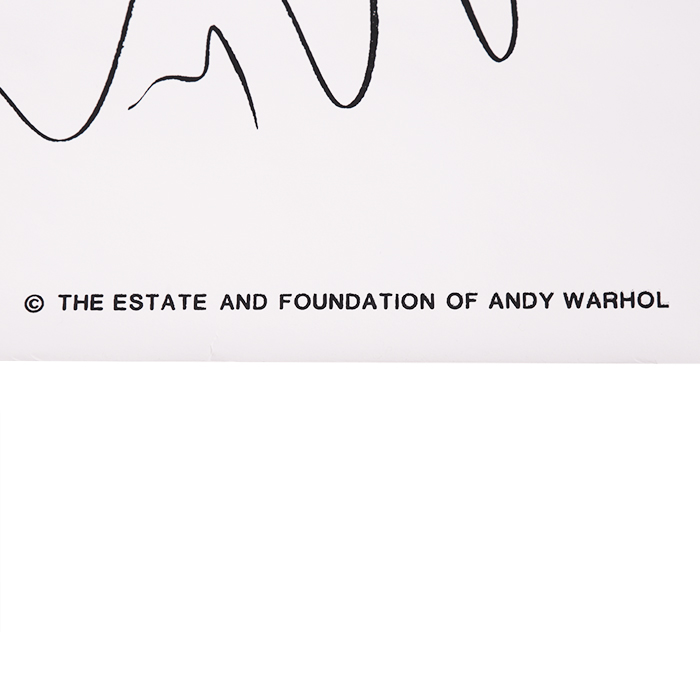 Andy Warhol (d'après), wallpaper "Mao", sérigraphie en couleurs, de 1989 - Detail D1