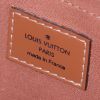 Sac à main Louis Vuitton Passy en cuir épi marron - Detail D3 thumbnail