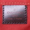 Borsa a tracolla Louis Vuitton Bastille in tela a scacchi ebana e pelle marrone - Detail D3 thumbnail