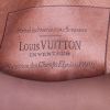 Louis Vuitton Speedy Editions Limitées handbag in brown monogram canvas and natural leather - Detail D3 thumbnail