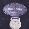 Bolso de mano Mulberry Bayswater en cuero azul - Detail D3 thumbnail