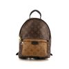Louis Vuitton  Palm Springs small model  backpack  in brown monogram canvas  and black leather - 360 thumbnail