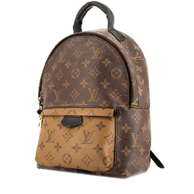 Louis Vuitton Palm Springs Backpack Backpack 365892