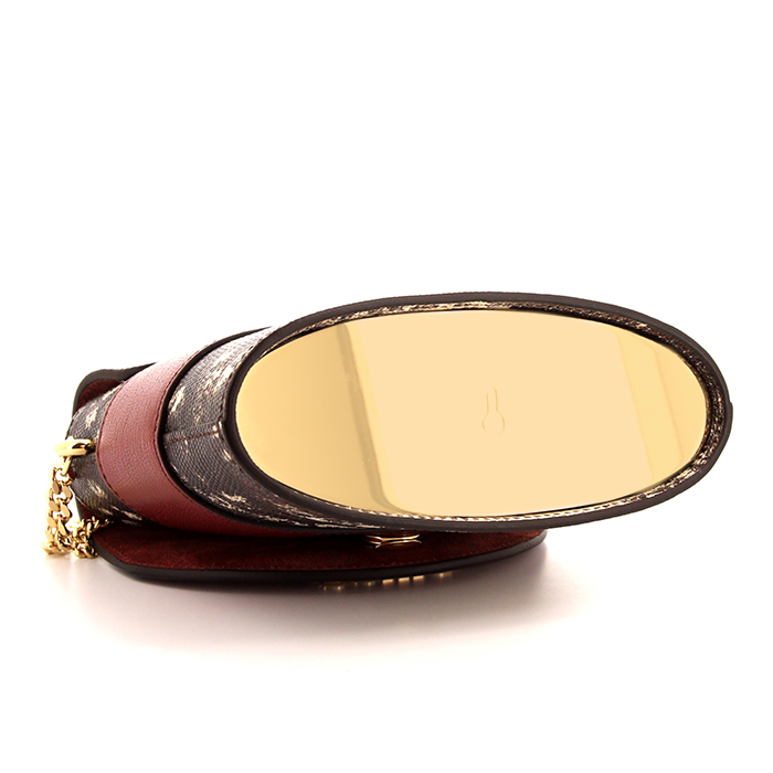 Borsa a tracolla Chloé Aby Lock in lucertola beige e grigia e pelle bordeaux - Detail D5