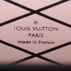 Bolso bandolera Louis Vuitton Petite Malle en cuero Epi rojo y cuero negro - Detail D4 thumbnail