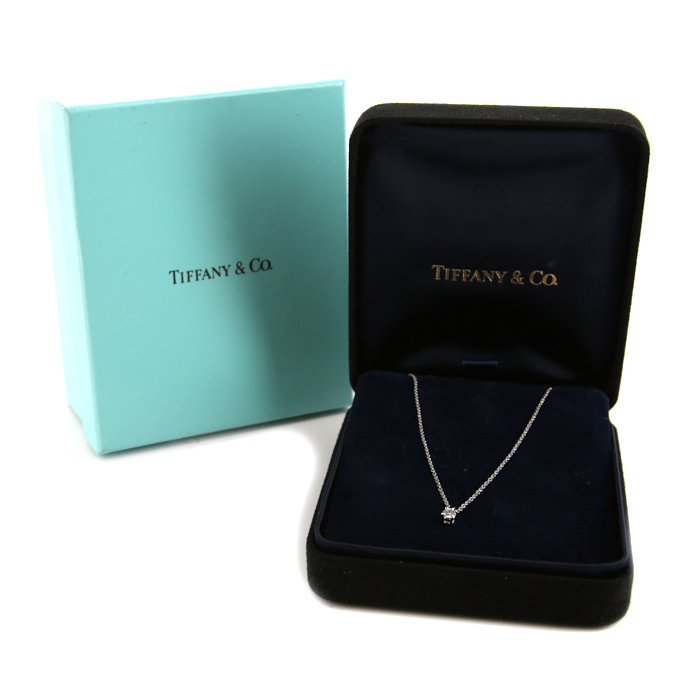 Tiffany & Co Diamond necklace in platinium and diamond (0,15 carat) - Detail D2