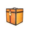 Louis Vuitton Malle à Chapeaux trunk in orange vuittonite and natural leather - 00pp thumbnail