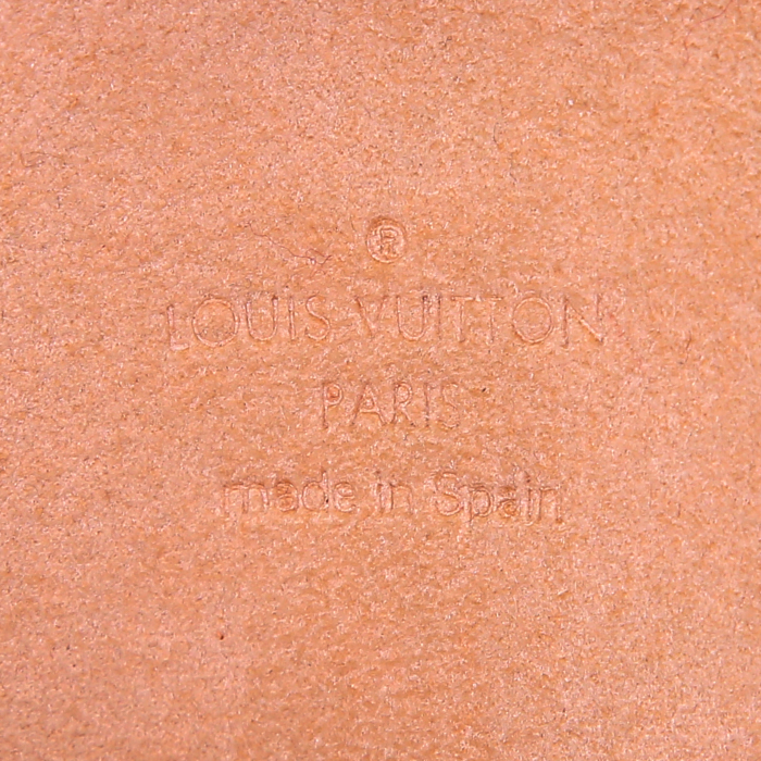 Pochette-cintura Louis Vuitton Florentine in tela monogram e pelle naturale - Detail D4