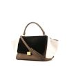 Celine Trapeze medium model handbag in brown and white leather and black suede - 00pp thumbnail