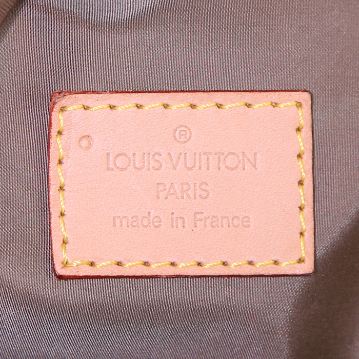 Bolsa de viaje Louis Vuitton Geant Aventurier en lona gris y cuero natural - Detail D3