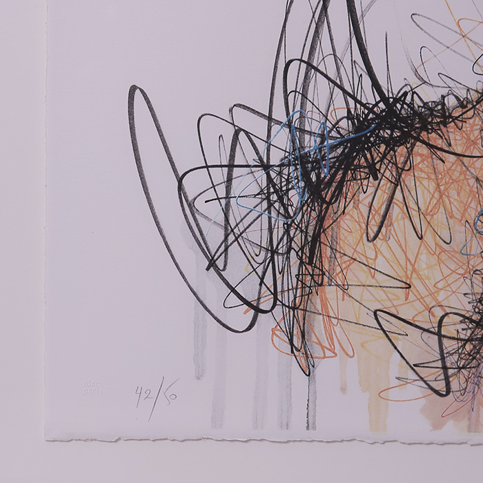 Hom Nguyen, “Autoportrait”, lithographie sur papier de la série "Hidden", signée, numérotée et encadrée, de 2016 - Detail D2