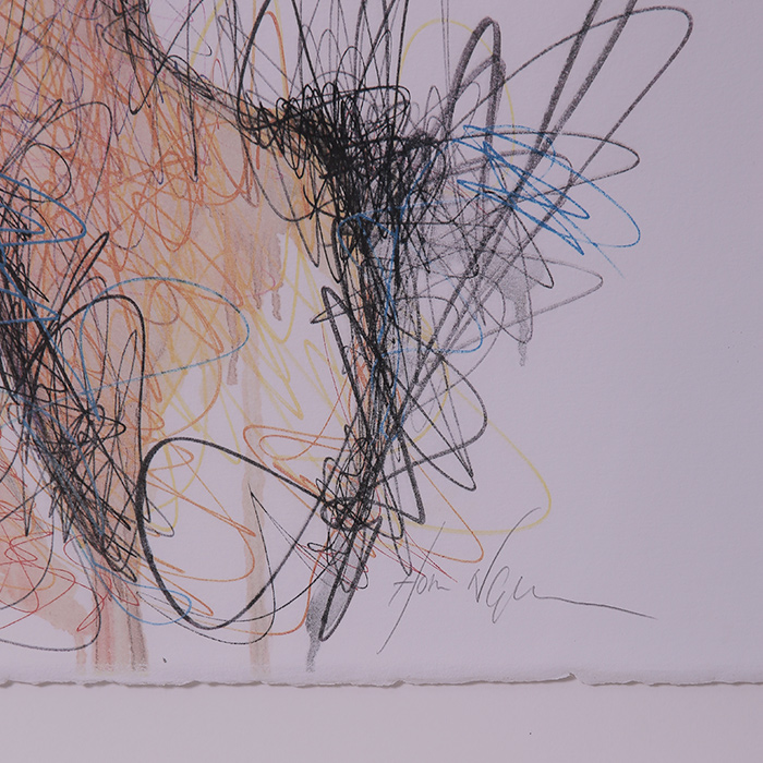 Hom Nguyen, “Autoportrait”, lithographie sur papier de la série "Hidden", signée, numérotée et encadrée, de 2016 - Detail D3