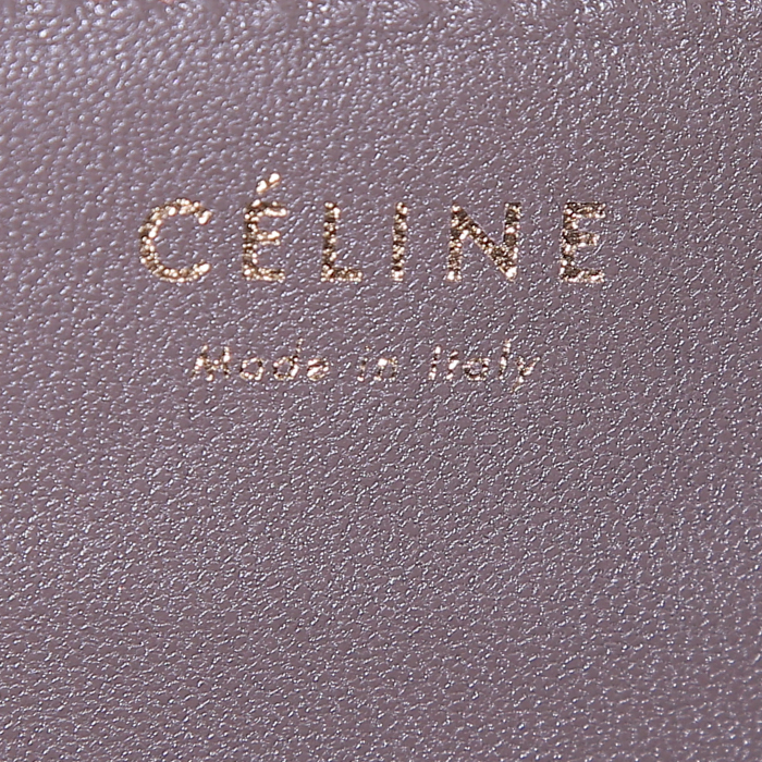 Céline Classic Box shoulder bag in beige lizzard - Detail D3