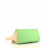 Bolso de mano Celine Trapeze en cuero negro, verde y beige - Detail D5 thumbnail
