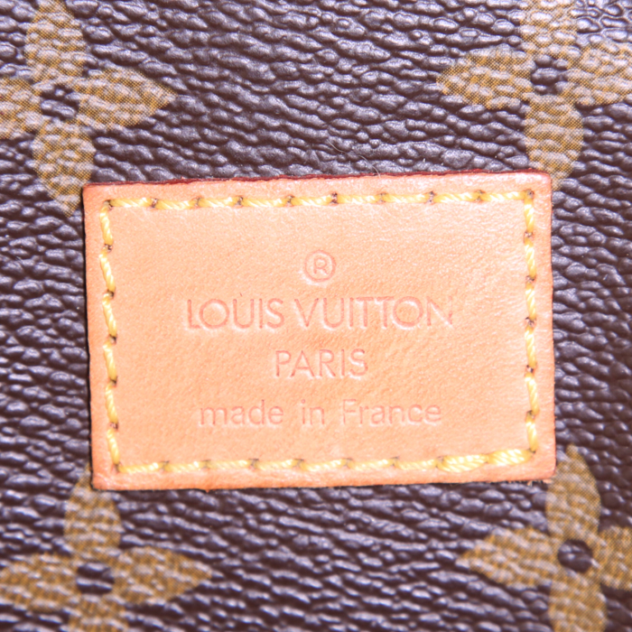 Borsa a tracolla Louis Vuitton Saumur modello piccolo in tela monogram cerata marrone e pelle naturale - Detail D3