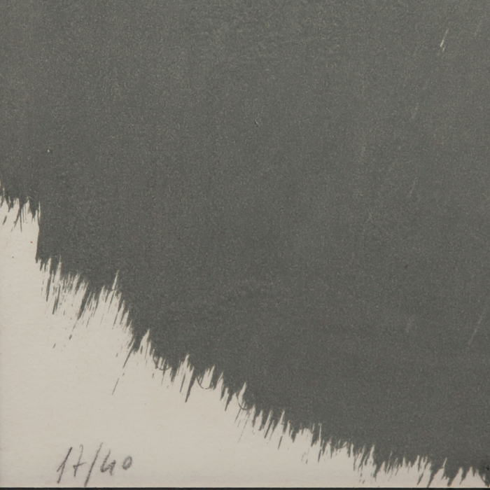 Sonia Delaunay, Sans titre, lithographie en couleurs sur papier, signée, datée, numérotée et encadrée, de 1962 - Detail D3