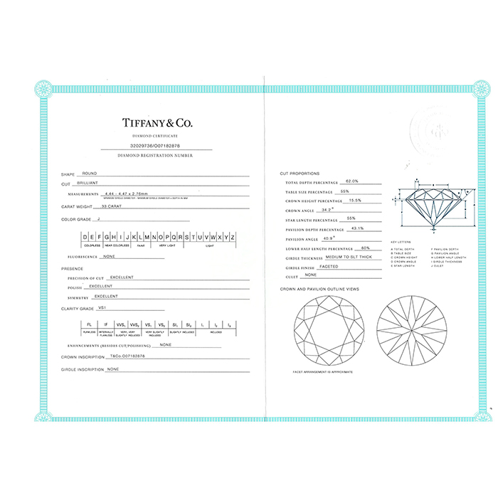 Collana Tiffany & Co Diamond in platino e diamante - Detail D5