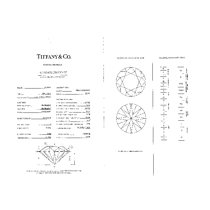 Collana Tiffany & Co Diamond in platino e diamante - Detail D5