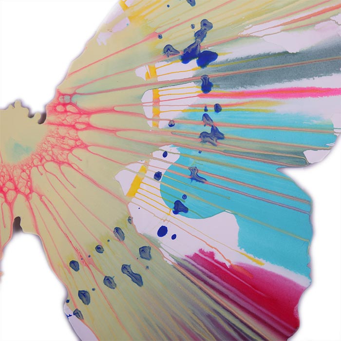 Damien Hirst, "Butterfly Spin", acrylique sur papier, tampon de l'artiste et du musée Pinchuk Art Center, encadré, de 2009 - Detail D1