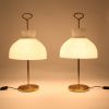 Ignazio Gardella, paire de lampes "Arenzano", grands modèles, en laiton et verre opalin satiné, édition Azucena, modèle créé en 1956 - Detail D1 thumbnail