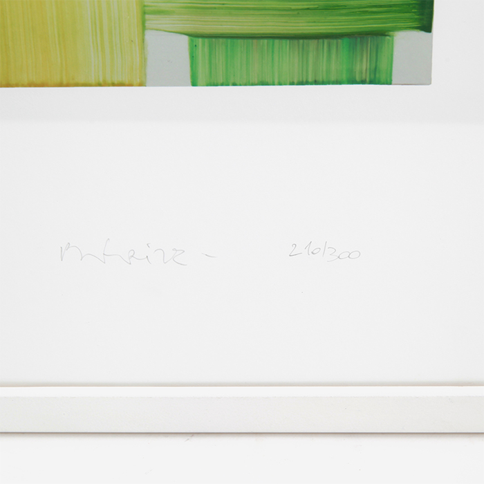 Bernard Frize, "Caisse", digital print in colors on paper, signed, numbered and framed, of 2013 - Detail D1