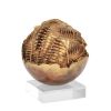 Arnaldo Pomodoro, "Sfera", sculpture in gilded bronze, Artcurial edition, signed and numbered, certificate of authenticity, of 1983 - 00pp thumbnail
