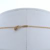 Tiffany & Co City HardWear necklace in pink gold - Detail D2 thumbnail