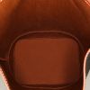 Bolso bandolera Celine Seau en lona Triomphe Monogram marrón y cuero marrón - Detail D2 thumbnail
