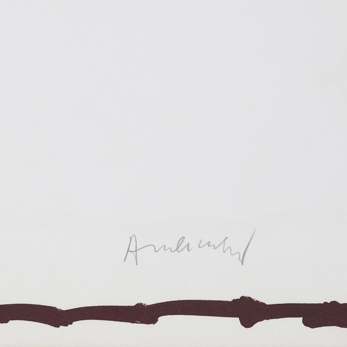 Pierre Alechinsky, Untitled, lithograph in colors on paper, signed, numbered, of 1980