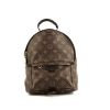 Louis Vuitton  Palm Springs medium model  backpack  in brown monogram canvas  and black leather - 360 thumbnail