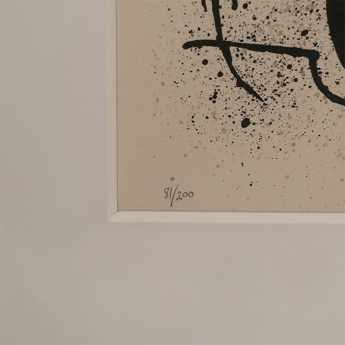 Joan Miró, "Cahier d'ombres", lithograph in colors on paper, signed, numbered and framed, of 1971 - Detail D3