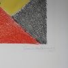 Sonia Delaunay, "Avec moi-même", etching and aquatint in colors on paper, limited edition, signed and dated, of 1970 - Detail D2 thumbnail