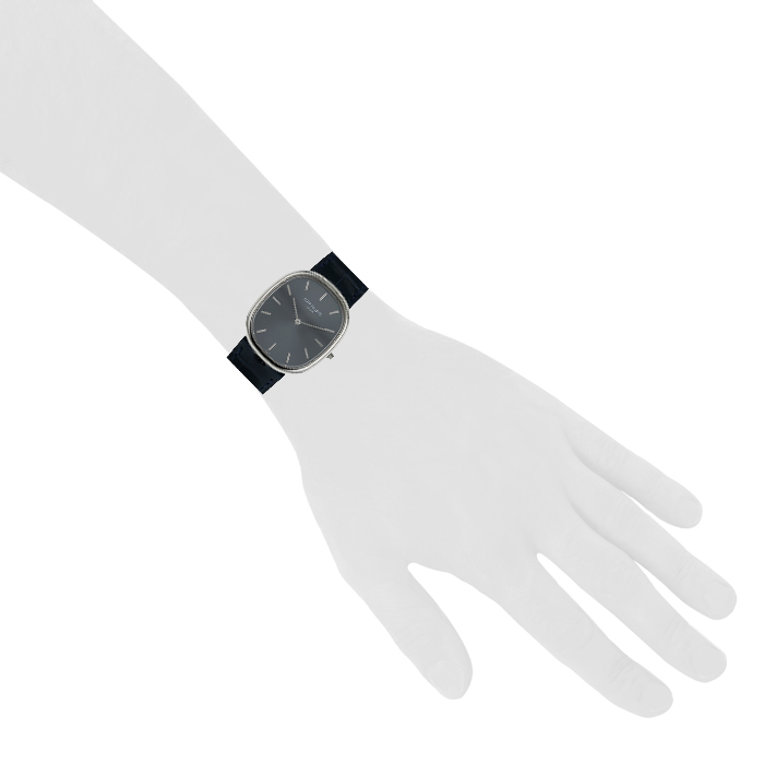 Montre Patek Philippe Ellipse en or blanc Ref :  3738/100 Vers  2006 - Detail D1