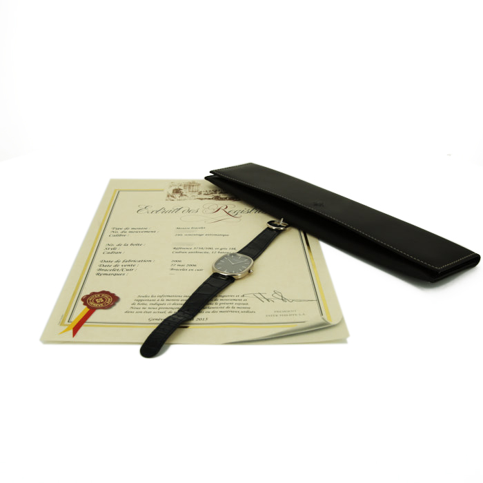 Patek Philippe Ellipse watch in white gold Ref:  3738/100 Circa  2006 - Detail D2