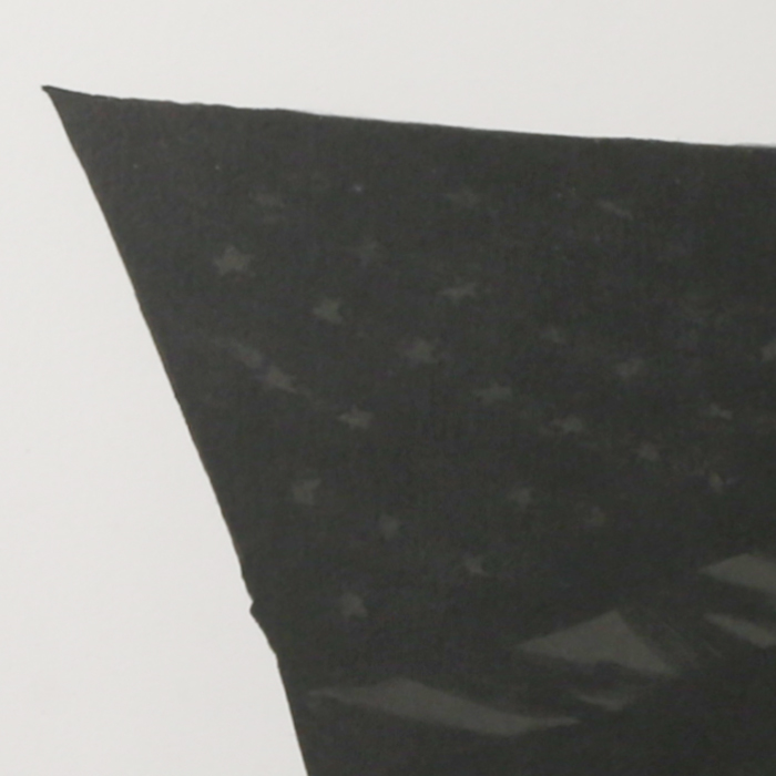 Robert Longo, "Black flag", lithograph on paper, signed, dated, dedicated and numbered, of 1990 - Detail D3