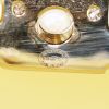 Borsettina da sera Chanel Pearl in plexiglas beige - Detail D3 thumbnail