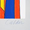 Alexander Calder, "Squash blossoms", lithograph in colors on paper, signed and numbered, around 1972 - Detail D2 thumbnail