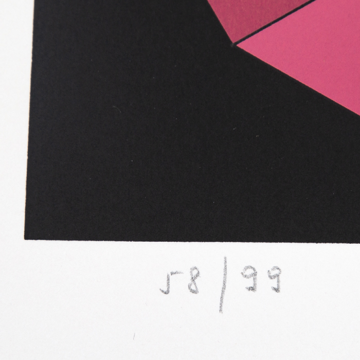 Victor Vasarely, "YKA", silkscreen in colors on paper, signed, numbered and framed, of 1989 - Detail D2