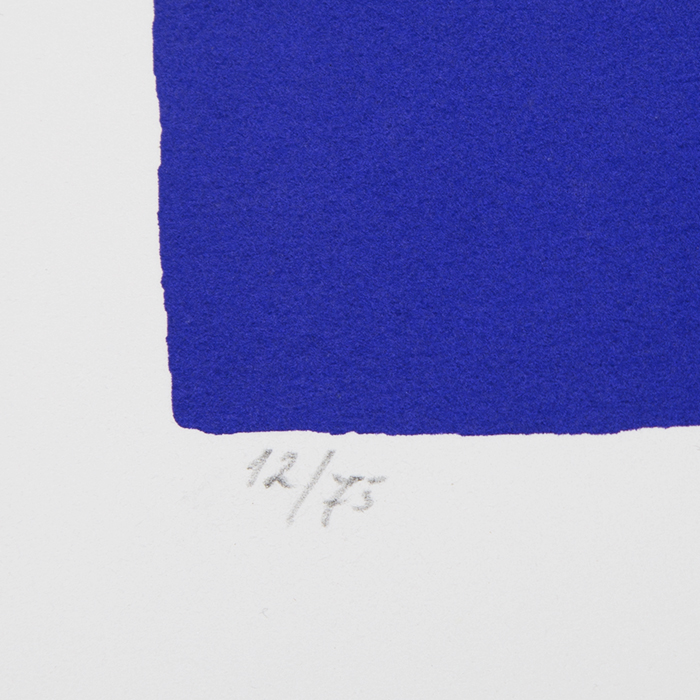 Sonia Delaunay, "Gallery Bing exhibition", lithograph in colors on paper, signed, numbered and framed, of 1964. - Detail D3