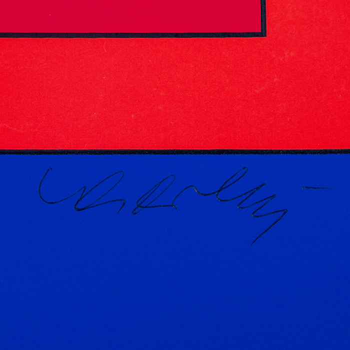 Victor Vasarely, "Xico 1", silkscreen in colors on paper, signed, numbered and framed, of 1973 - Detail D2