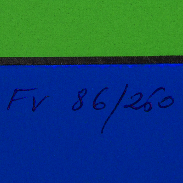 Victor Vasarely, "Xico 1", silkscreen in colors on paper, signed, numbered and framed, of 1973 - Detail D3
