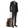 Bolsa de viaje Louis Vuitton  Eole en lona a cuadros marrón y cuero marrón - Detail D2 thumbnail