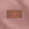 Bolsa de viaje Louis Vuitton  Eole en lona a cuadros marrón y cuero marrón - Detail D4 thumbnail