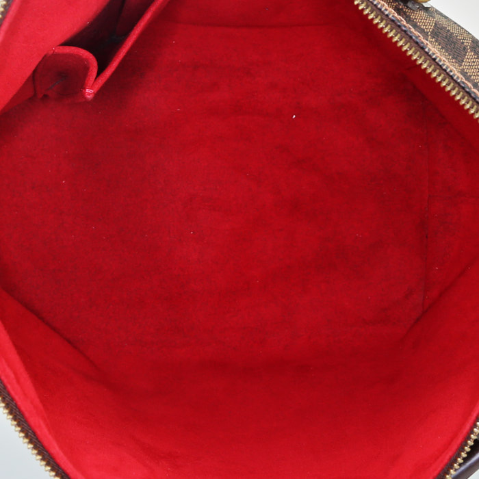 Bolso de mano Louis Vuitton  Saleya en lona a cuadros marrón y cuero marrón - Detail D2