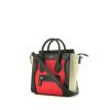 Celine Luggage nano shoulder bag in pink, black and beige tricolor leather - 00pp thumbnail